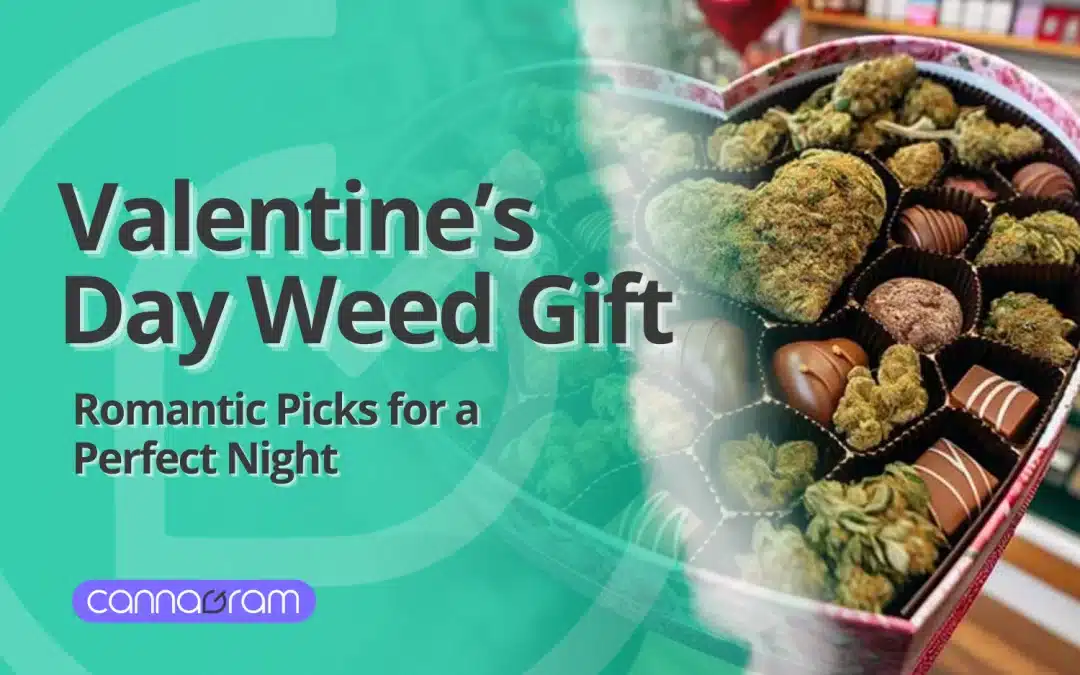 Valentines Day Weed Gift 3 Romantic Picks for a perfect night