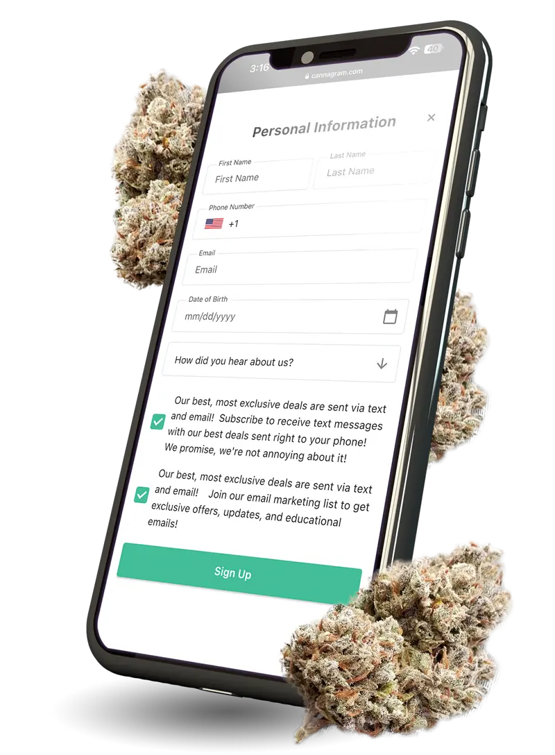  A smartphone with cannabis flowers , slide , weed app, Cannagram Delivery Service.