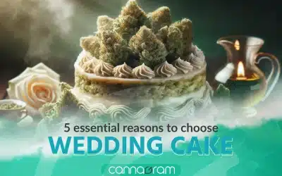 Wedding Cake: 5 Essential reasons to choose it