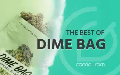 The Best of Dime Bag at Cannagram – Your Top 1 cannabis delivery