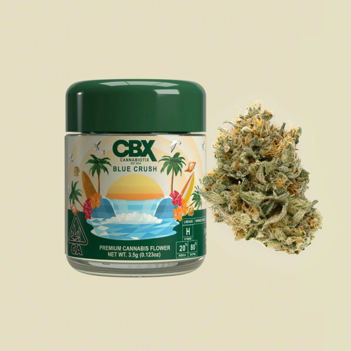 Jar of CBX Blue Crush Premium Cannabis Flower with a bright cannabis bud.