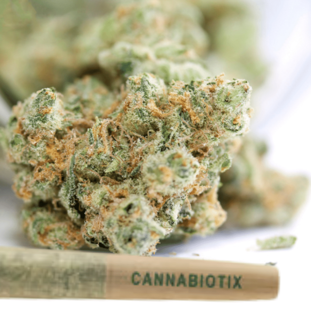 Close-up of a frosty cannabis bud and a Cannabiotix-branded preroll.