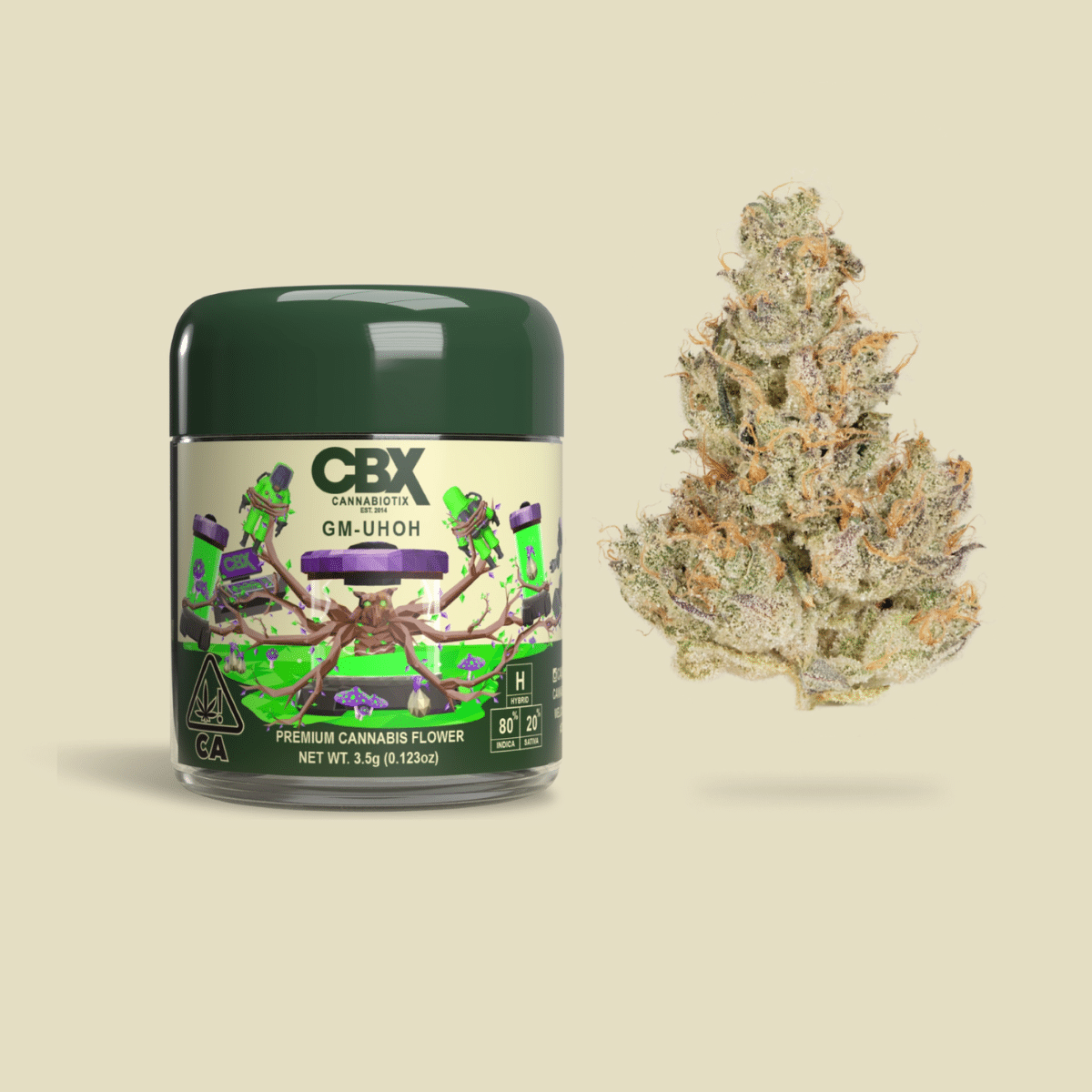 Jar of CBX GM-UHOH Premium Cannabis Flower with a frosty cannabis bud.