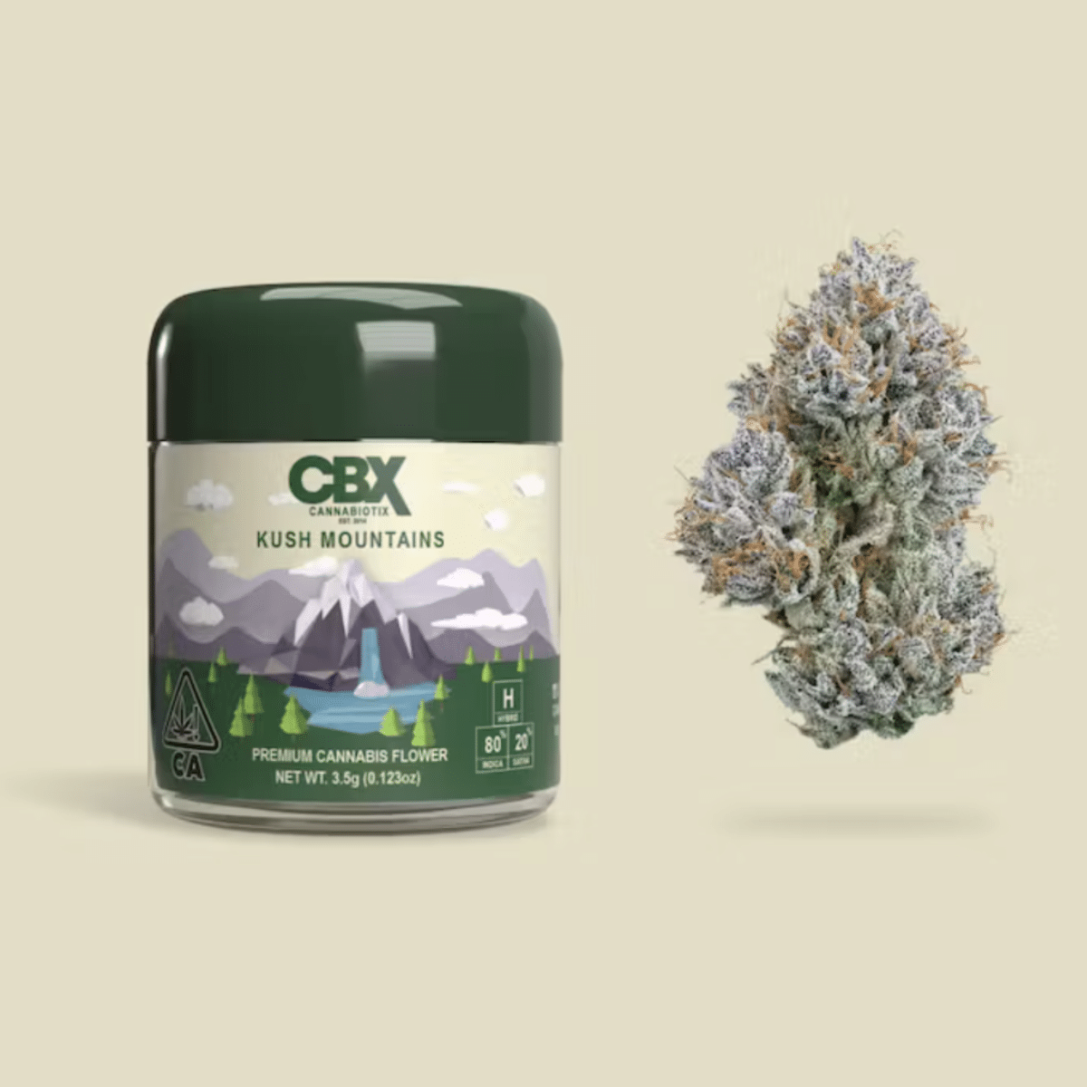 Jar of CBX Kush Mountains Premium Cannabis Flower with dense cannabis buds.