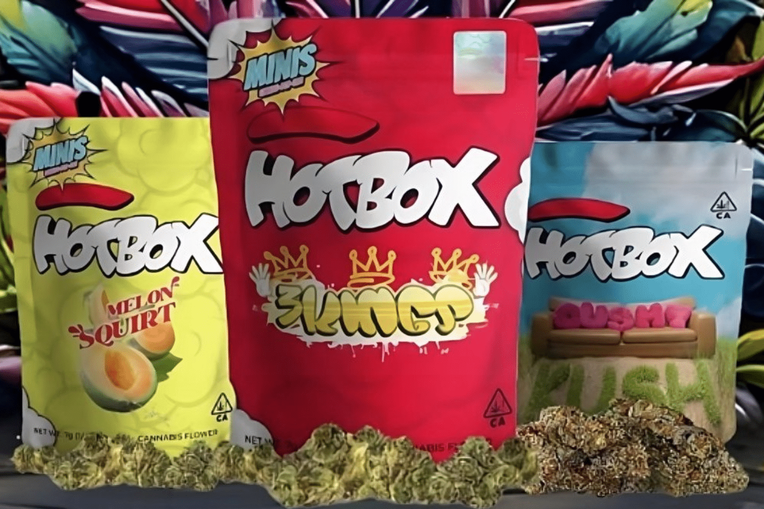 Bags of HotBox cannabis products, including Melon Squirt, Zkittlez King, and Cush, displayed with cannabis flowers in front.