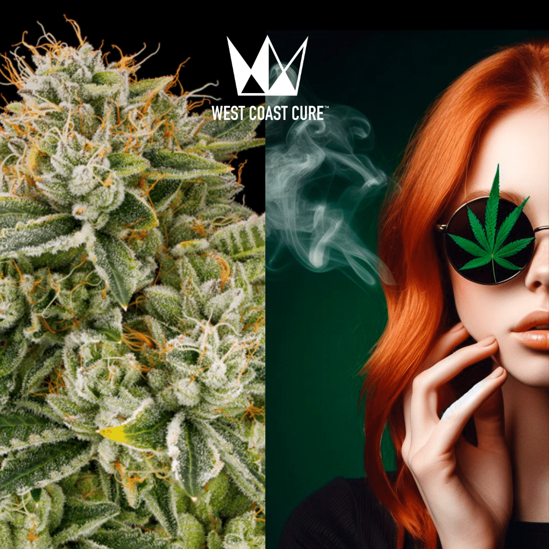 West Coast Cure cannabis flower and woman with cannabis leaf sunglasses