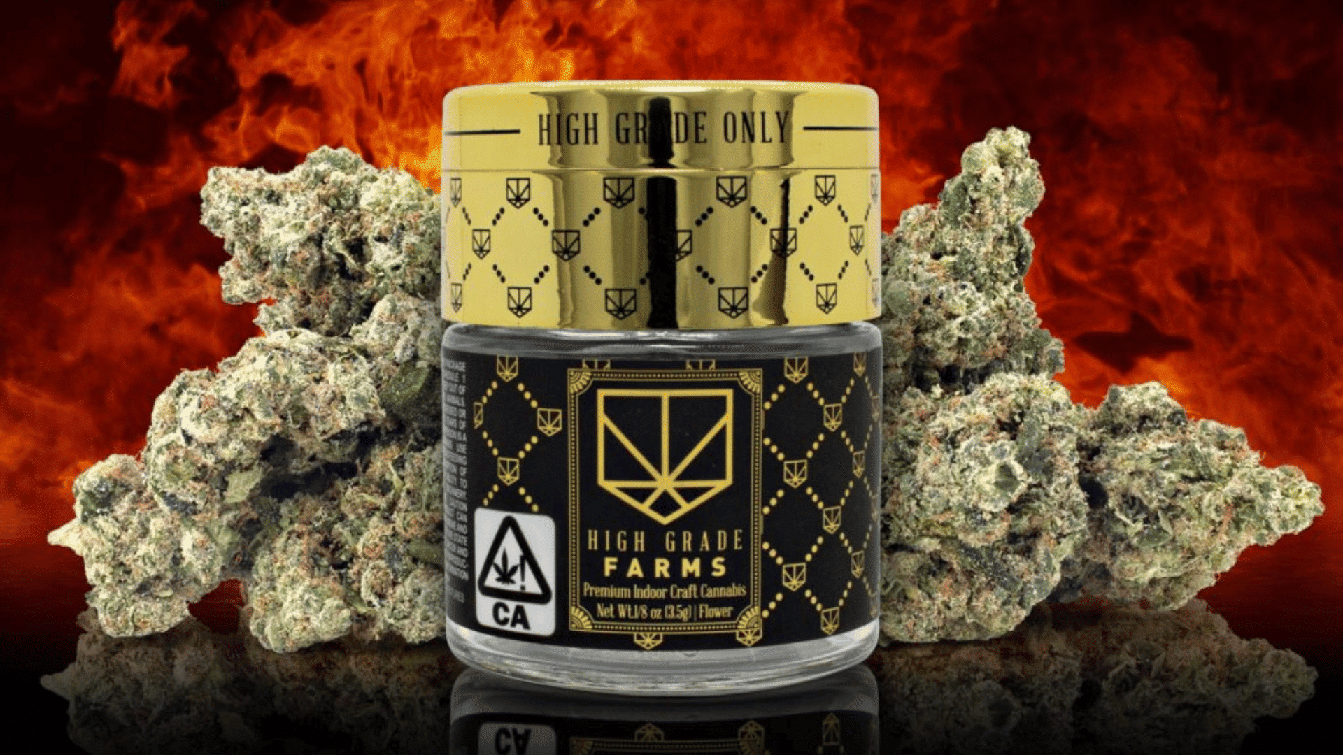 Jar of High Grade Farms cannabis with buds, highlighting premium quality cannabis products.