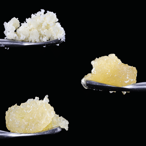 High Grade Farms Grape Gushers concentrates, including creamy and golden live resin displayed on silver tools.