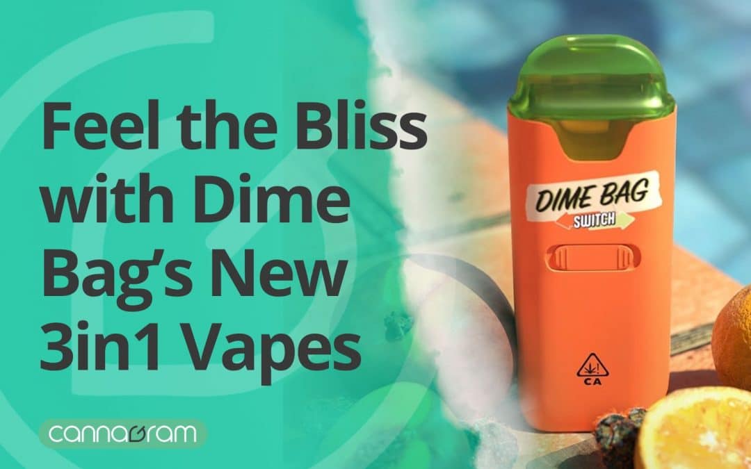 Promotional image featuring the new Dime Bag 3-in-1 vape from Cannagram. The vape device is orange with a green top, labeled 'Dime Bag Switch' and a cannabis compliance symbol. The background includes fresh fruits and cannabis buds near a poolside, with the text overlay: 'Feel the Bliss with Dime Bag’s New 3in1 Vapes.' The Cannagram logo is placed at the bottom left