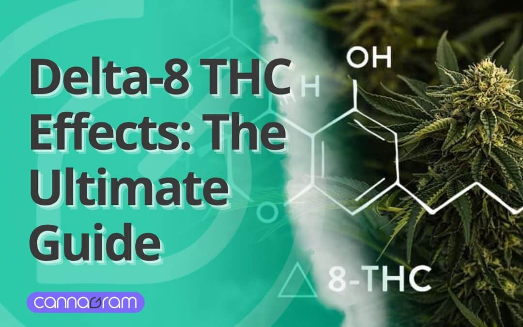 Delta-8 THC Effects: The Ultimate Guide to This Emerging Cannabinoid 2025