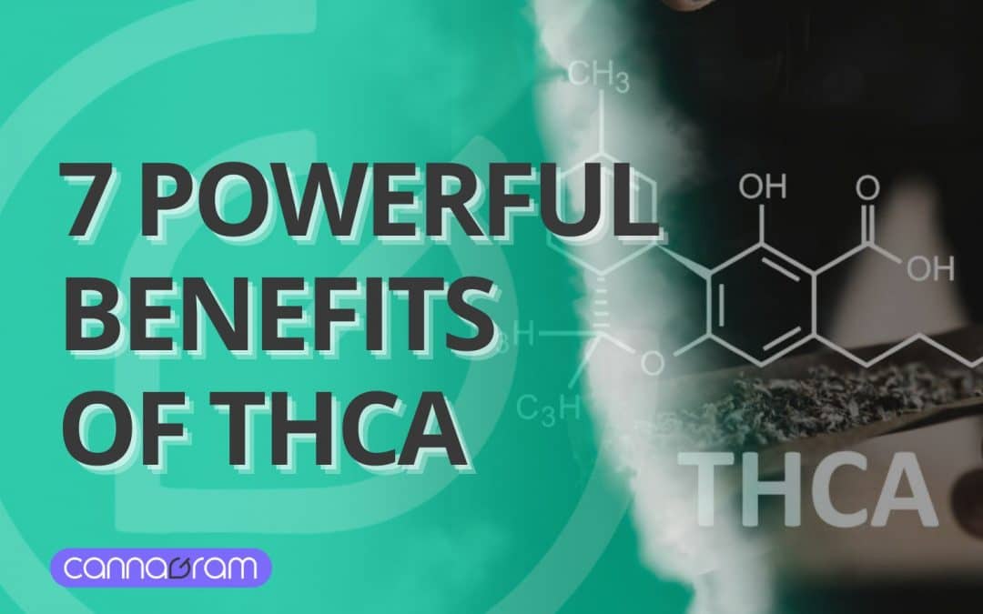 7 Powerful Benefits of THCA: Why This Cannabinoid is Gaining Attention