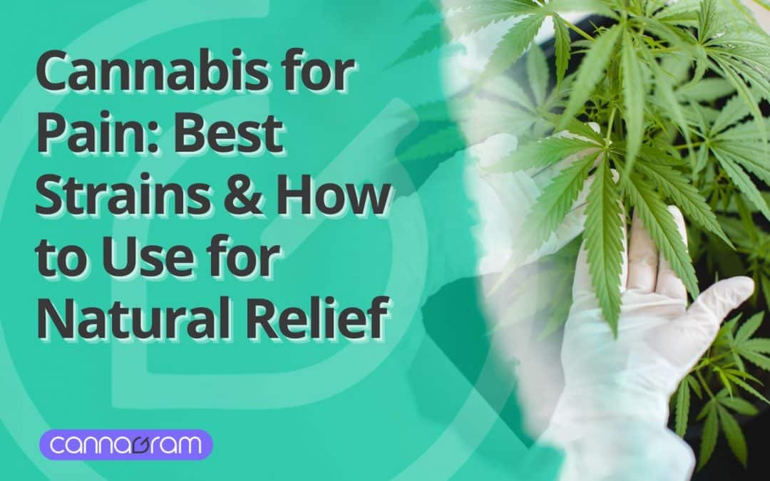 Cannabis for Pain Relief - Natural THC and CBD Remedies.