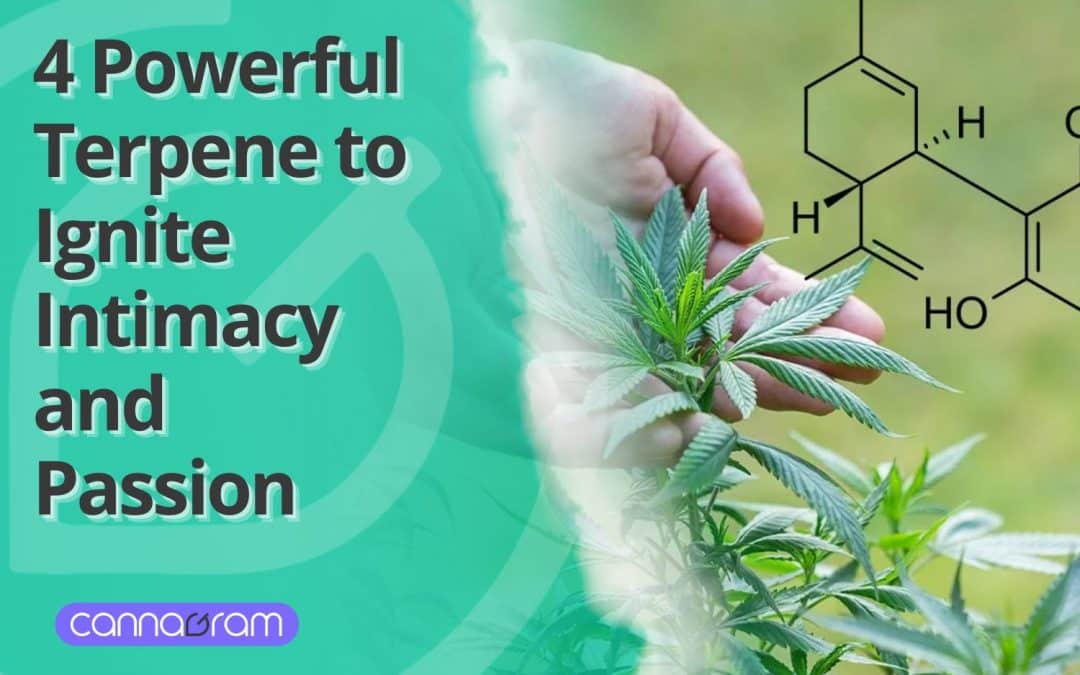 A person holding a cannabis plant with a terpene molecular structure overlay, alongside the text "4 Powerful Terpene to Ignite Intimacy and Passion" and the Cannagram logo.