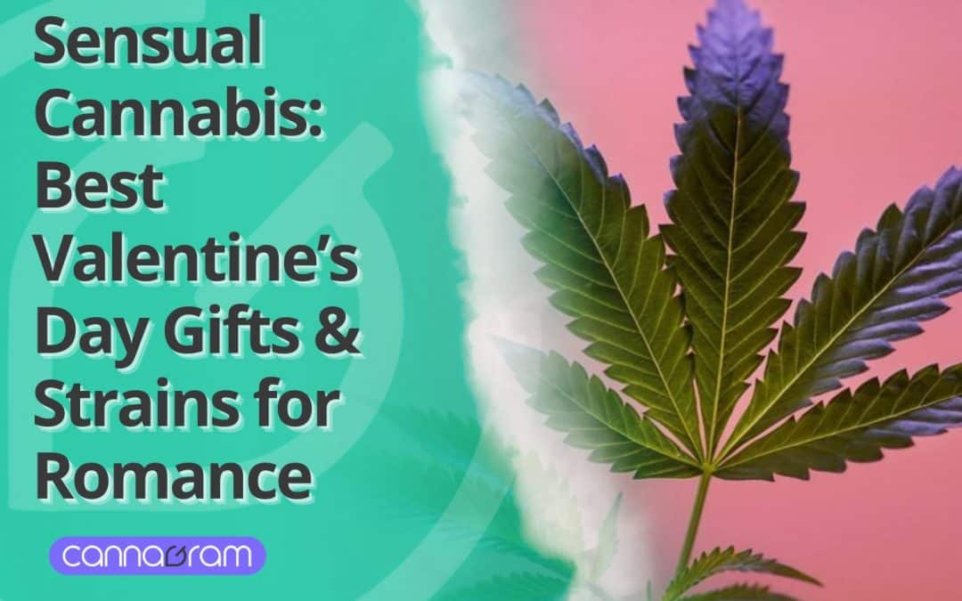 Close-up of a vibrant cannabis leaf with a pink background, alongside bold text promoting Sensual Cannabis as the best Valentine's Day gifts and strains for romance.