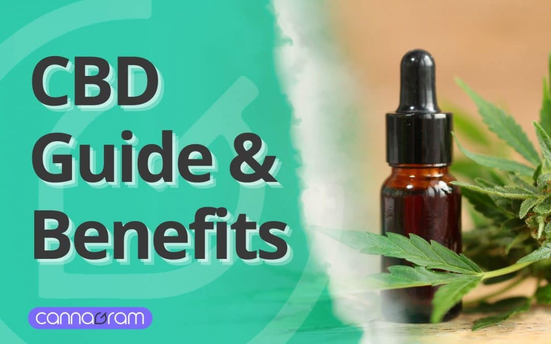 CBD Benefits & Uses: The Definitive 2025 Guide to Cannabidiol