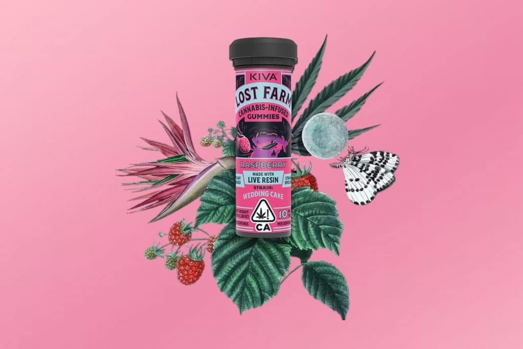 Lost Farm Raspberry Gummies infused with Wedding Cake Strain, displayed against a vibrant pink background with botanical elements and cannabis leaves.