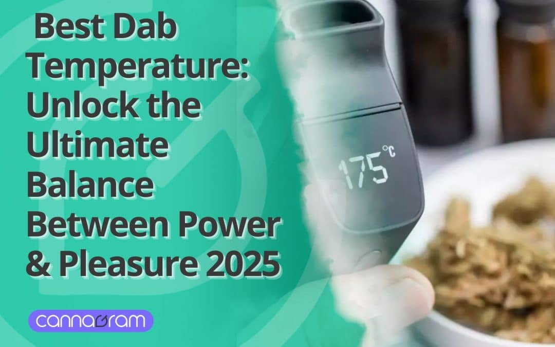 Best Dab Temperature: Unlock the Ultimate Balance Between Power & Pleasure 2025