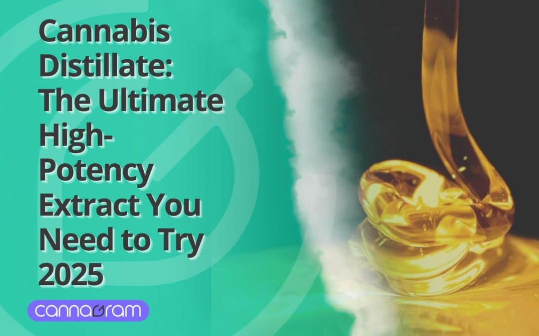 Cannabis Distillate: Experience the Cleanest & Most Powerful High 2025