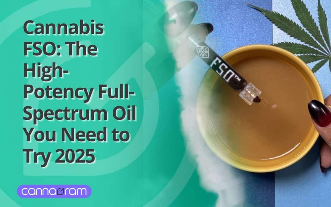 Cannabis FSO: The High-Potency Full-Spectrum Oil You Need to Try 2025