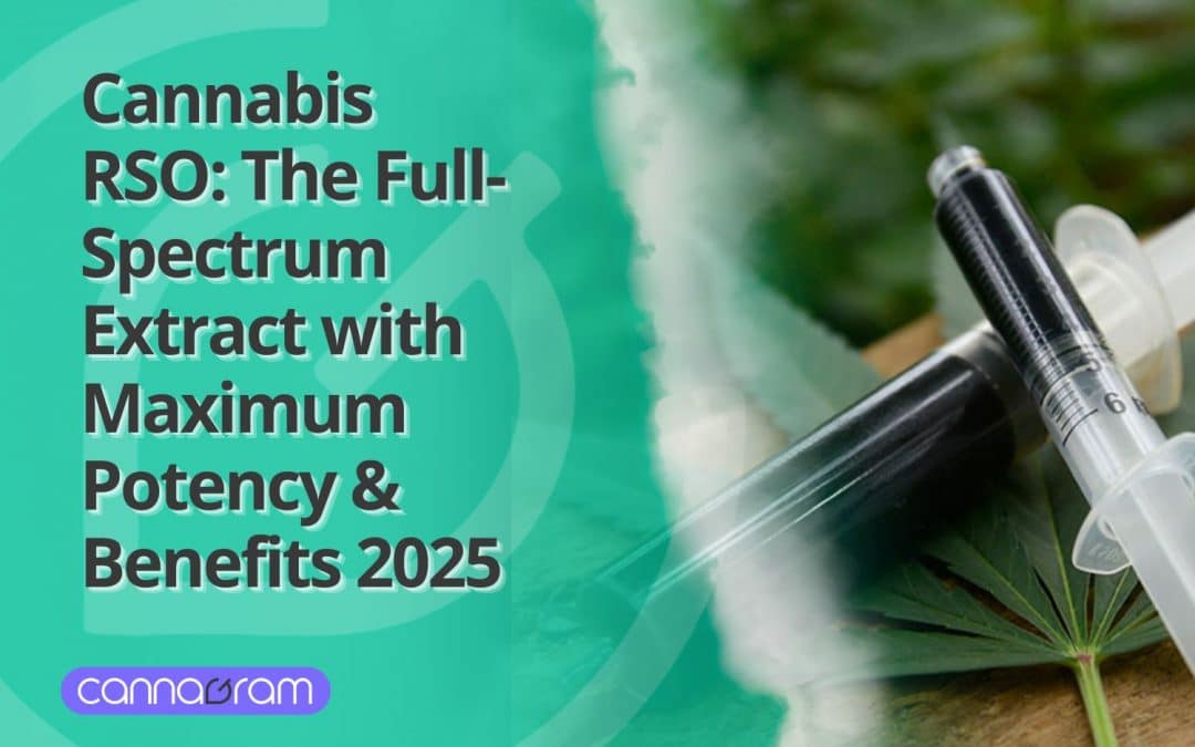 Cannabis RSO: The Full-Spectrum Extract with Maximum Potency & Benefits 2025