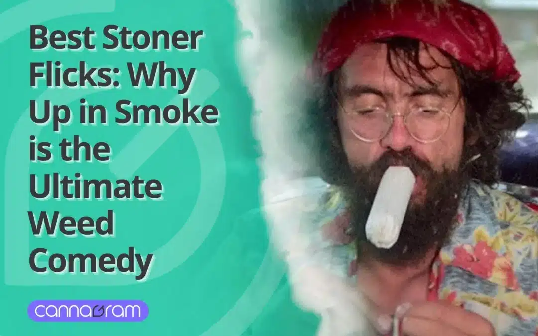 Best Stoner Flicks: Why Up in Smoke is the Ultimate Weed Comedy 2025