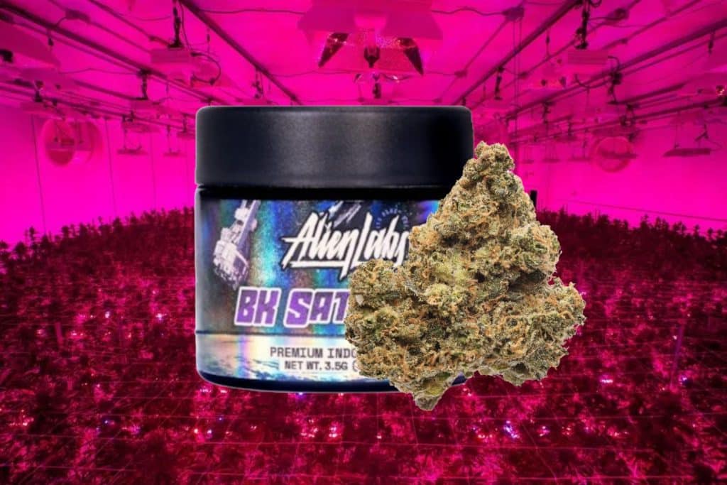 A jar of 'Alien Labs BK SAT' premium indoor cannabis flower with a close-up of a dense cannabis bud. The background features an indoor cannabis cultivation facility illuminated by intense pink LED grow lights.