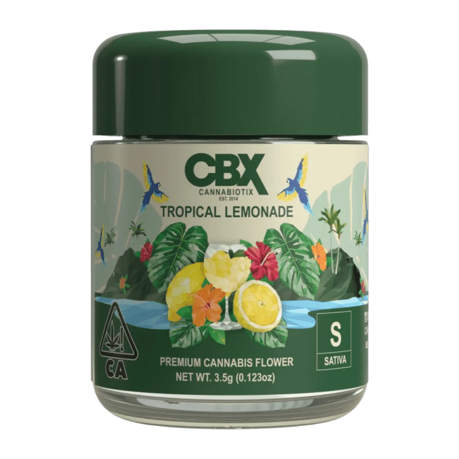 Tropical Lemonade Strain - CBX