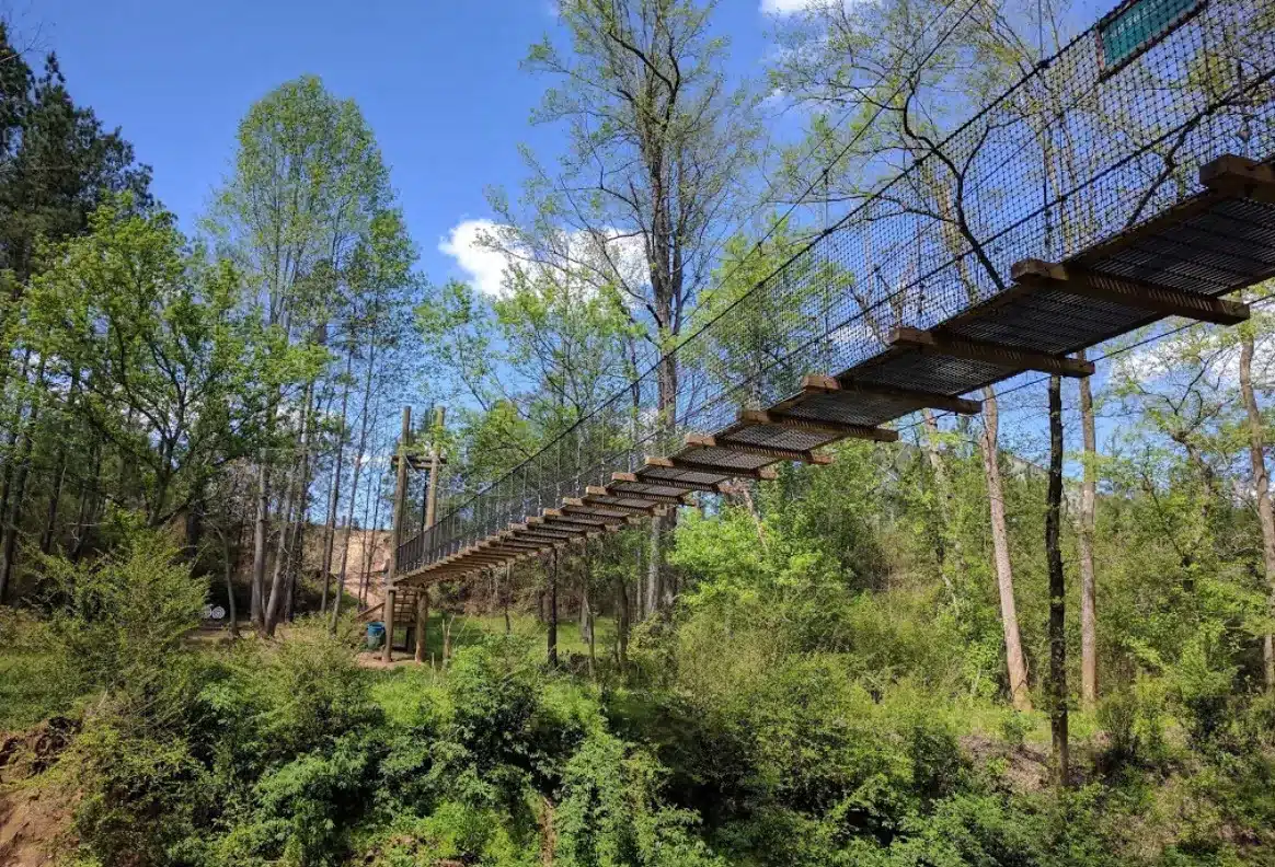 twelve-bridges-trail Elevated suspension bridge surrounded by green forest along Twelve Bridges Trail