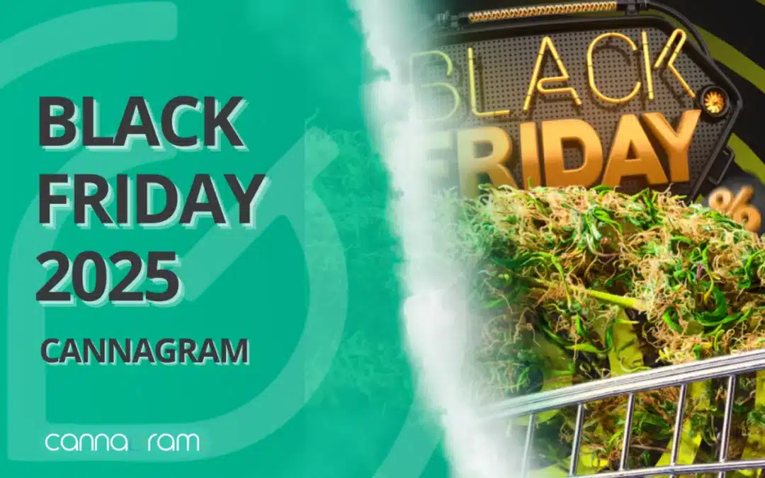 Black Friday Weed Deals in Sacramento 2025 | Cannagram Cannabis Delivery