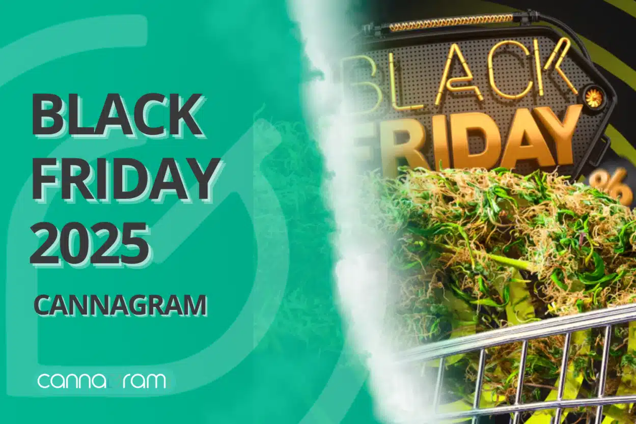 black-friday-2025-sacramento-weed-delivery Black Friday 2025 Cannagram banner with teal background and cannabis buds in a shopping cart